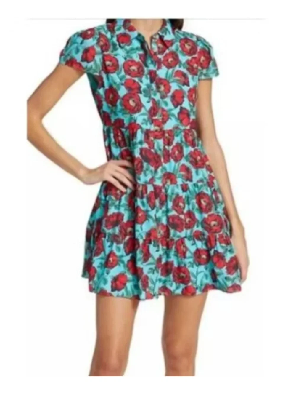 Alice + Olivia Aqua Dress with Red Floral Print - Picture 5 of 7
